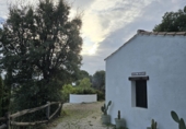 Finca rústica en venta en Jubrique ref: TR414298 foto