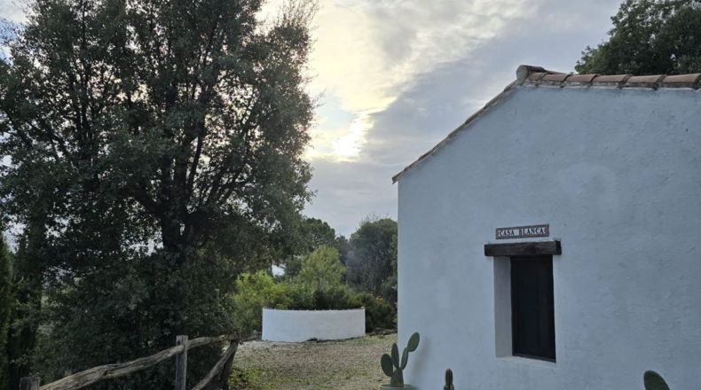 Málaga - Jubrique - 5000m2
