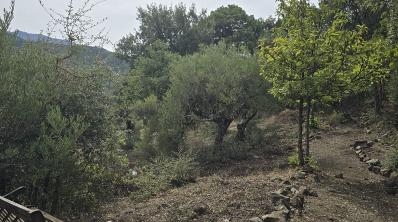 Málaga - Jubrique - 5000m2