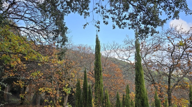 Málaga - Jubrique - 5000m2