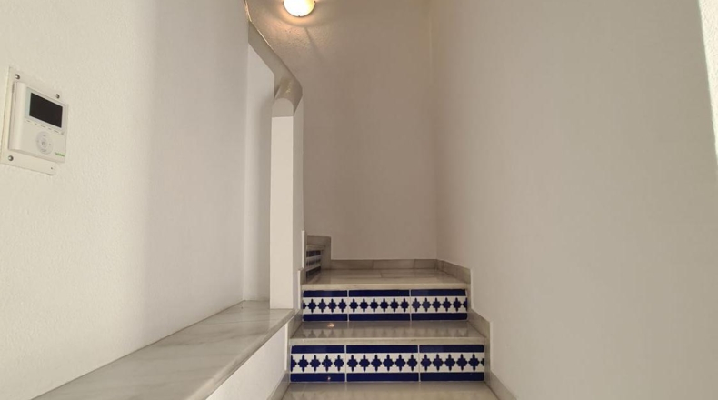 Málaga - Estepona - 220m2