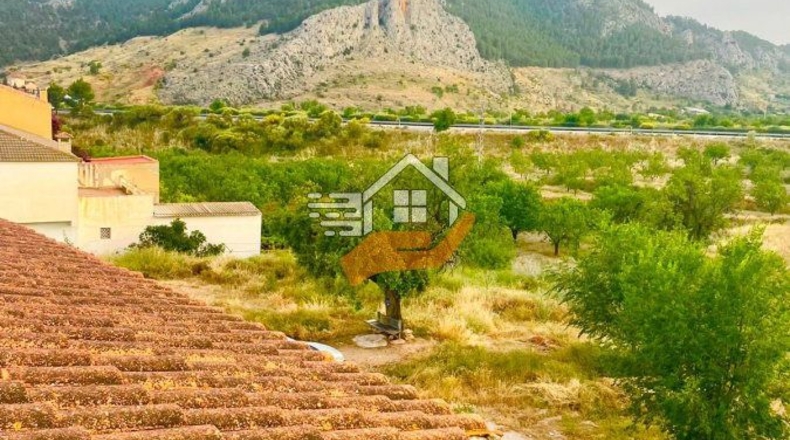 Almería - Vélez-Rubio - 550m2