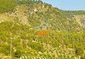 Terreno en venta en Yeste ref: TR414305 foto
