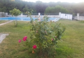 Chalet independiente con terreno en venta en Calvarrasa de Abajo ref: TR414307 foto