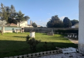Chalet independiente con terreno en venta en Calvarrasa de Abajo ref: TR414307 foto