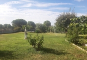 Chalet independiente con terreno en venta en Calvarrasa de Abajo ref: TR414307 foto
