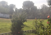 Chalet independiente con terreno en venta en Calvarrasa de Abajo ref: TR414307 foto