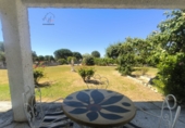 Chalet independiente con terreno en venta en Calvarrasa de Abajo ref: TR414307 foto