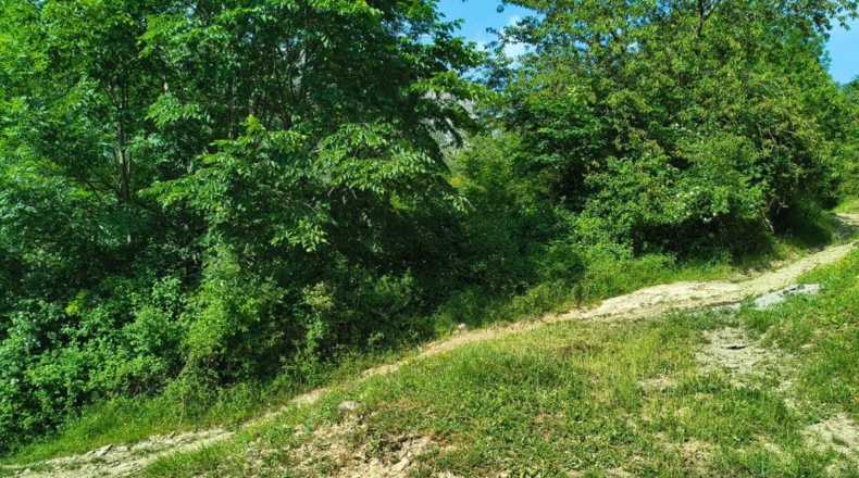 Huesca - Puértolas - 890m2