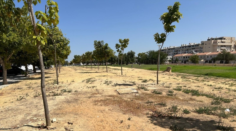 Cadiz - Jerez de la Frontera - 120m2
