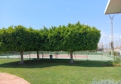 Casa de pueblo en venta en Torrevieja ref: TR414311 foto