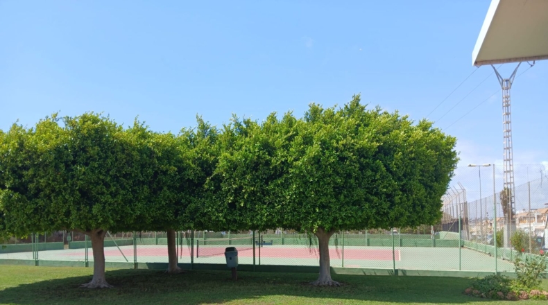 Аликанте - Torrevieja - 65m2
