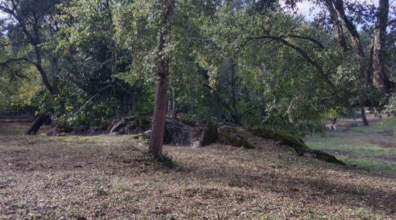 Huelva - Los Marines - 11000m2