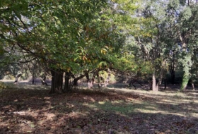 Los Marines 11000&nbsp;m²