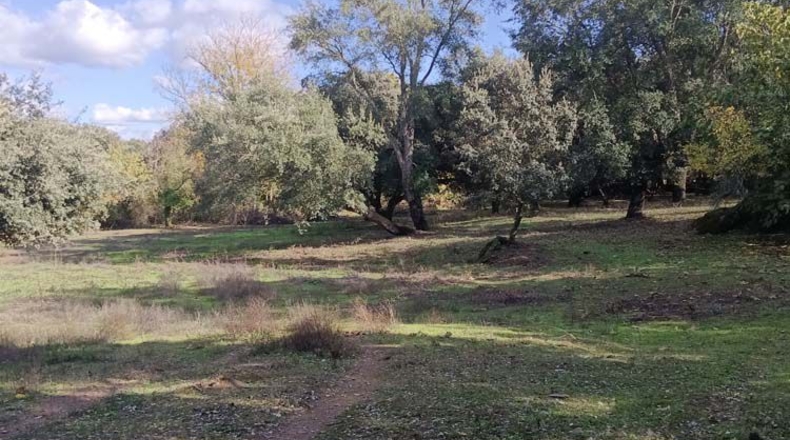 Huelva - Los Marines - 11000m2