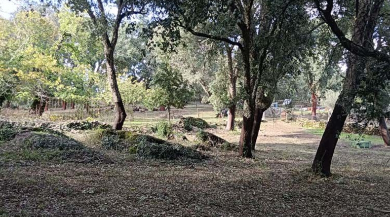 Huelva - Los Marines - 11000m2