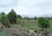 Finca rústica en venta en la España, Castelló de Rugat, ref: TR309593 foto