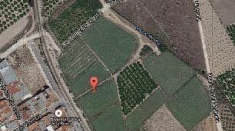 Valencia - Villanueva de Castellón - 6592m2