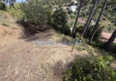 Parcela urbanizable en venta en la España, la Palma de Cervelló, ref: TR250479 foto