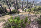 Parcela urbanizable en venta en la España, la Palma de Cervelló, ref: TR250479 foto