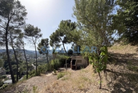 Foto 19