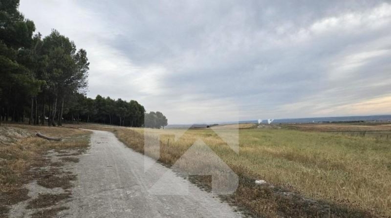 Comunidad de Madrid - Valdemoro - 85441m2