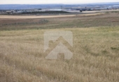 Terreny no urbanitzable en venda a la España, Valdemoro, ref.: TR412334 foto