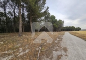 Terreny no urbanitzable en venda a la España, Valdemoro, ref.: TR412334 foto