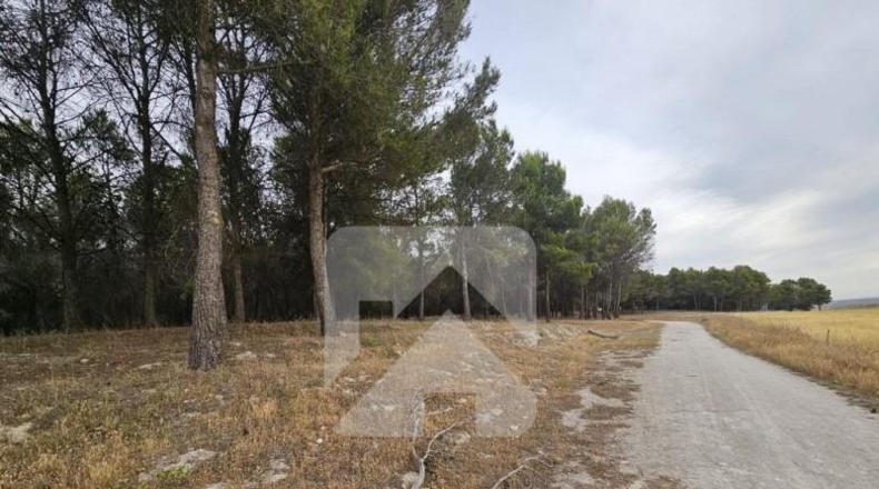 Comunidad de Madrid - Valdemoro - 85441m2