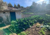 Parcela urbanizable en venta en la España, Olesa de Bonesvalls, ref: TR121025 foto