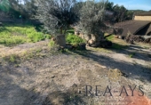 Parcela urbanizable en venta en la España, Olesa de Bonesvalls, ref: TR121025 foto