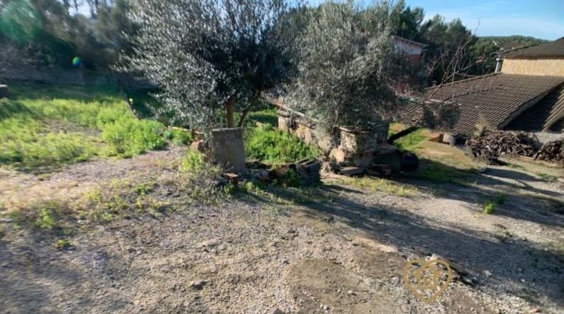 Barcelona - Olesa de Bonesvalls - 609m2