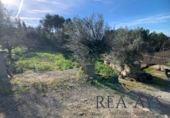 Parcela urbanizable en venta en la España, Olesa de Bonesvalls, ref: TR121025 foto
