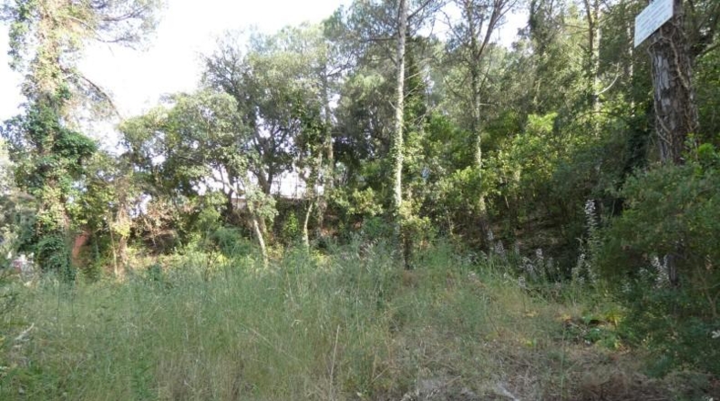 Córdoba - Palma del Río - 626m2