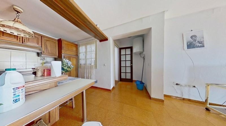 Cadiz - Paterna de Rivera - 361m2