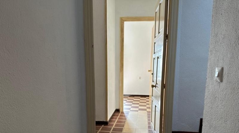 Cadiz - Paterna de Rivera - 361m2