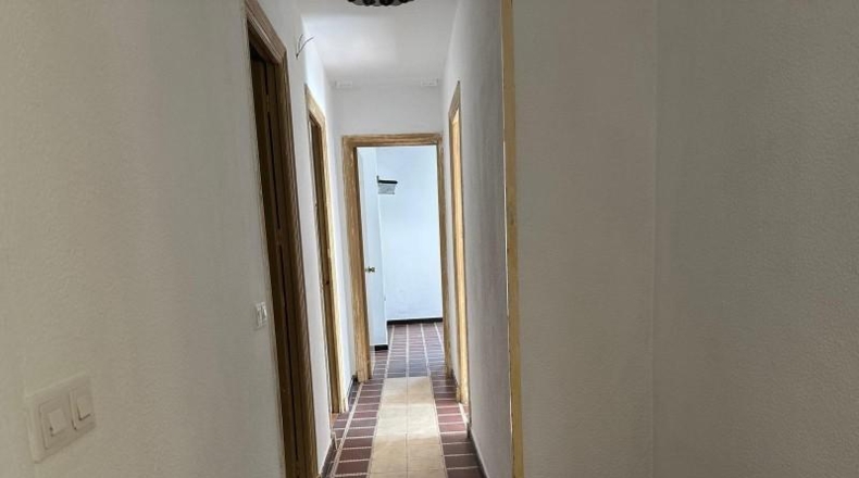 Cadiz - Paterna de Rivera - 361m2