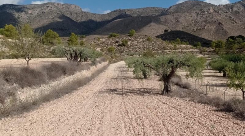 Alicante - Hondón de las Nieves - 58269m2