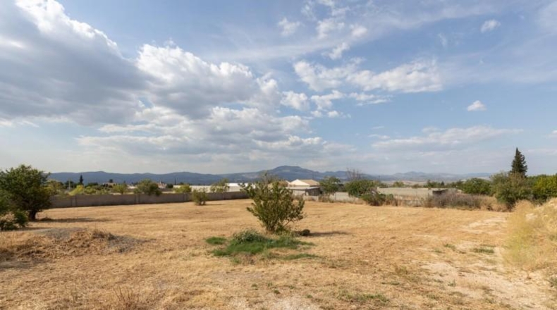 Гранада - Moraleda de Zafayona - 4550m2