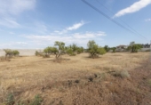 Terreno no urbanizable en venta en la España, Moraleda de Zafayona, ref: TR364741 foto