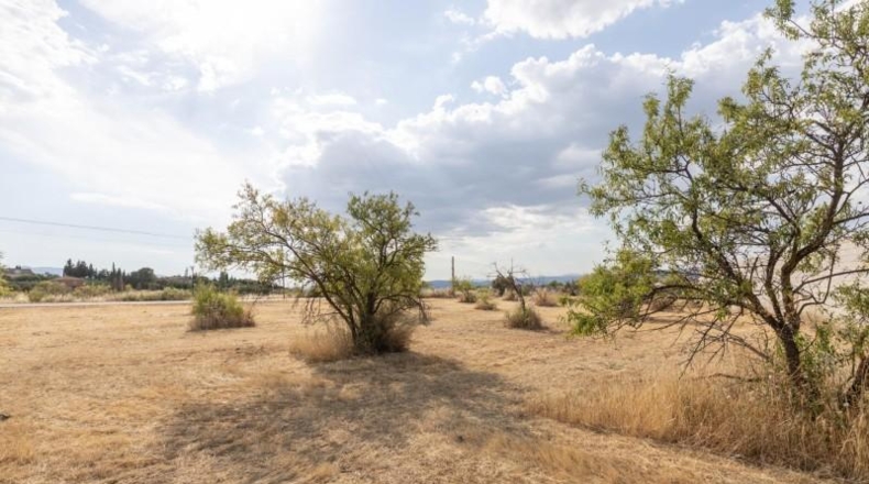 Гранада - Moraleda de Zafayona - 4550m2