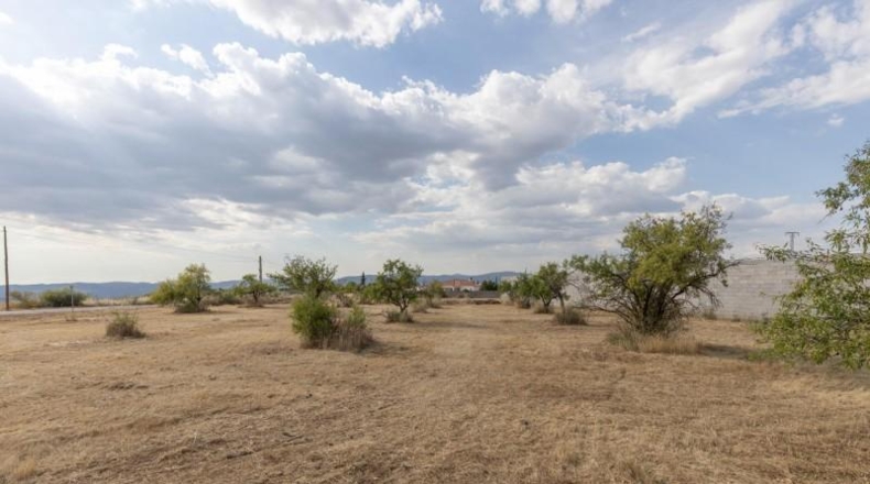 Гранада - Moraleda de Zafayona - 4550m2