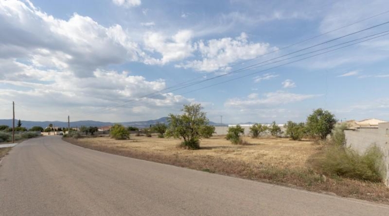 Гранада - Moraleda de Zafayona - 4550m2