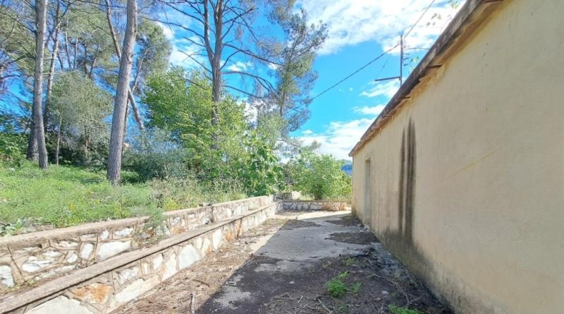 Valencia - Alzira - 8381m2