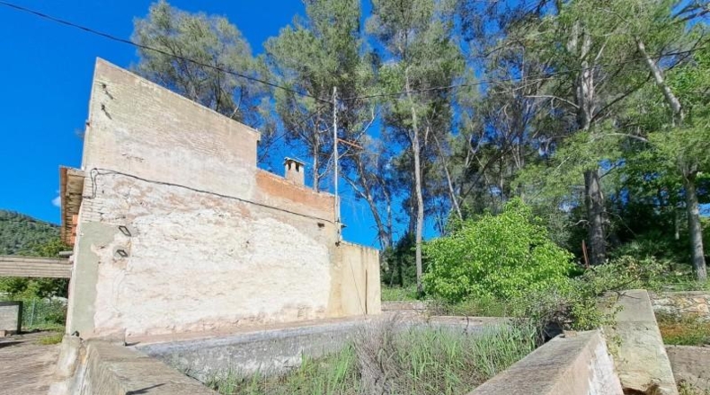 Valencia - Alzira - 8381m2
