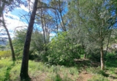 Casa de campo con terreno en venta en la España, Alzira, ref: TR414325 foto