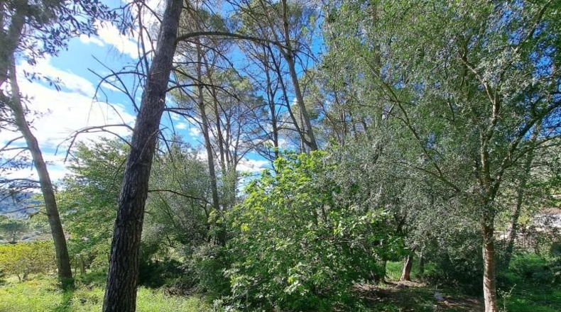 Valencia - Alzira - 8381m2