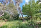 Casa de campo con terreno en venta en la España, Alzira, ref: TR414325 foto