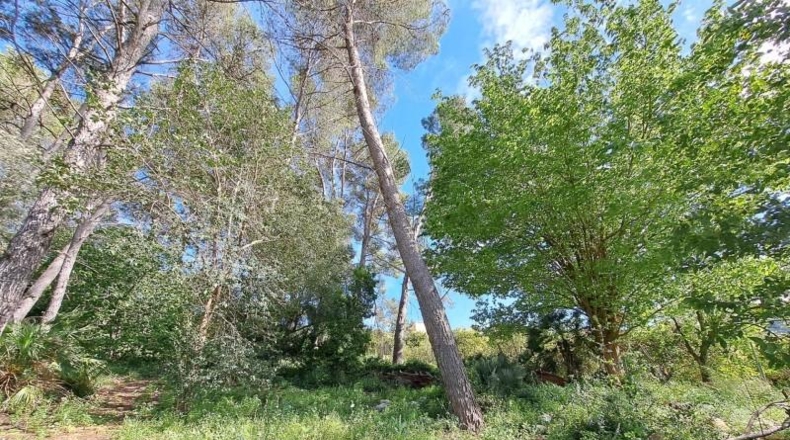 Valencia - Alzira - 8381m2