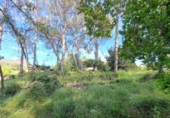 Casa de campo con terreno en venta en la España, Alzira, ref: TR414325 foto